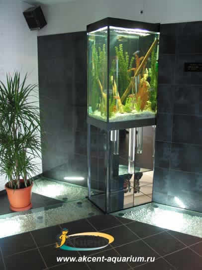 Акцент-Аквариум, аквариум прямоугольный встроенный в стену 400 литров